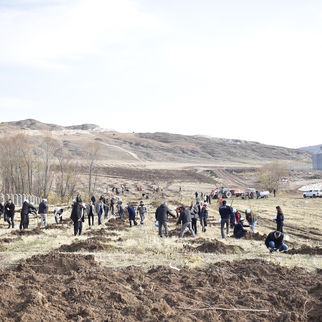 Sivas OSB'de yeşil dönüşüm binlerce fidan toprakla buluşuyor