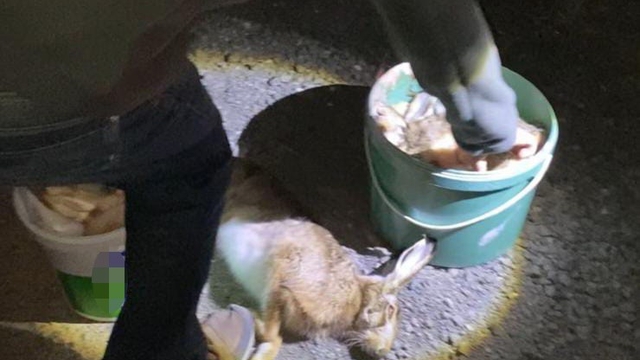 Tekirdağ'da gece avına baskın: 4 kişiye ceza