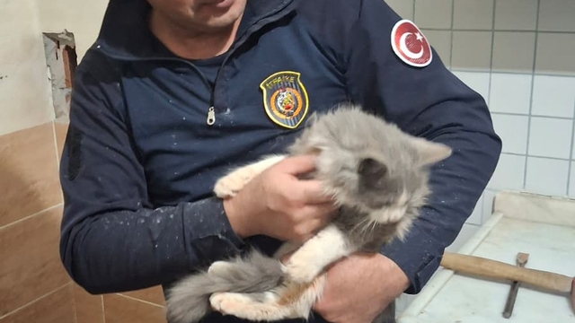 Malatya'da havalandırma boşluğuna sıkışan kediyi itfaiye kurtardı