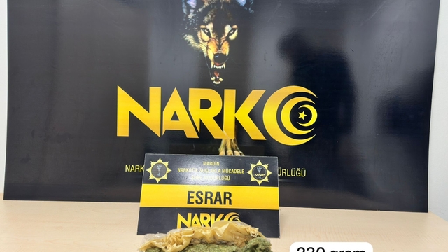 Mardin'de uyuşturucu operasyonunda 2 şüpheli yakalandı