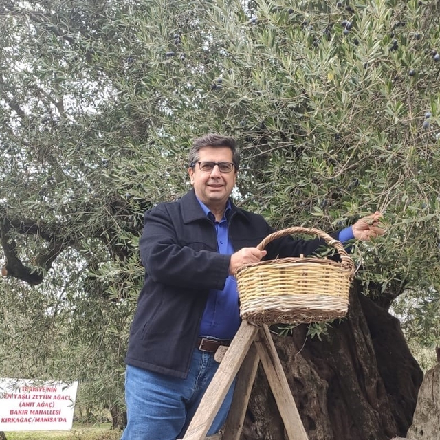Dünya zeytin ağacı günü Manisa'da buruk geçti