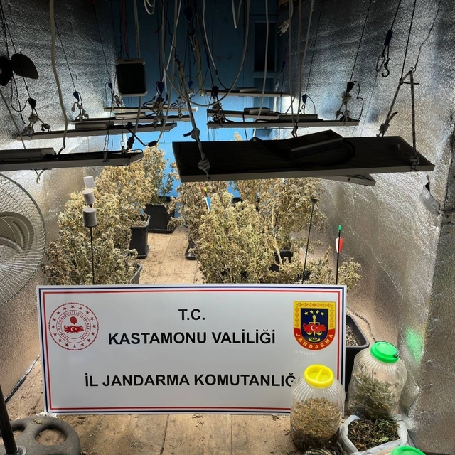 Çiftlik evlerini kenevir serasına çeviren sanıkların yargılanmasına devam e...