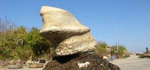 Giresun'un Bulancak ilçesinde denizde bulunan cisim balıkçıları şaşırttı