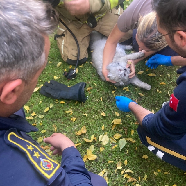 Villadaki yangında mahsur kalan kediyi itfaiye kurtardı