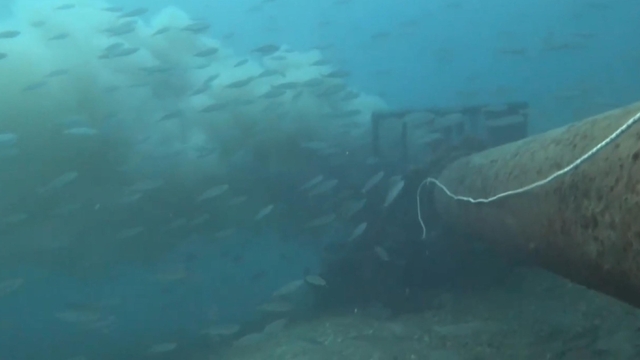 Çanakkale Boğazı'nda denize dökülen pis su, dalgıç kamerasında