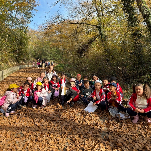 17-30 Kasım Erozyonla Mücadele Haftası