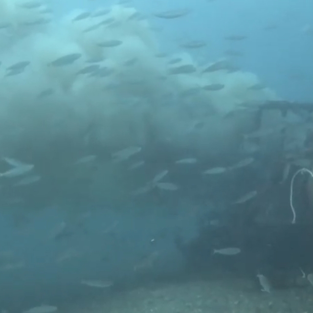 Çanakkale'de boğaza dökülen atık su ile karşılaşan dalgıç, o anları su altı...