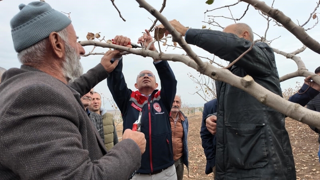 Siirt'te fıstık üreticilerine teorik ve pratik 'budama' ile 'gübreleme' eğitimi