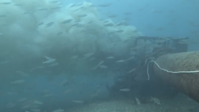 Çanakkale'de boğaza dökülen atık su ile karşılaşan dalgıç, o anları su altı kamerasıyla kaydetti