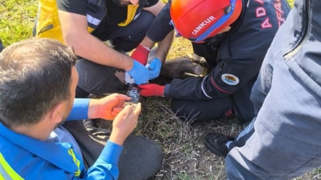 Ayağı motorlu testereye sıkışan şahsı itfaiye ekipleri kurtardı