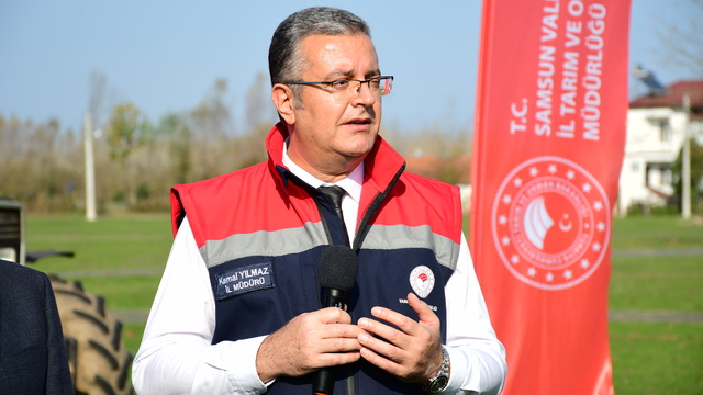 Samsun'da kahverengi kokarcaya karşı kışlak mücadelesi sürüyor