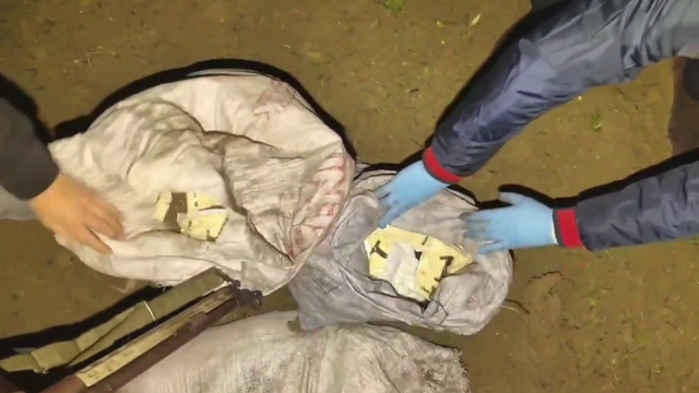 Zeytin bahçesinde torba içerisinde binlerce uyuşturucu hap ele geçirildi