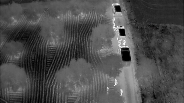 Hatay'da zeytin bahçesinde 625 bin adet uyuşturucu ecza hap ele geçirildi