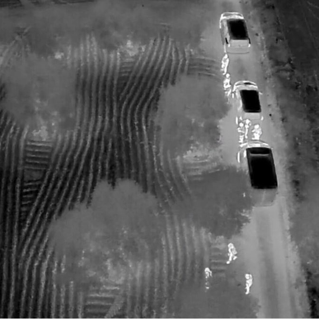 Hatay'da zeytin bahçesinde 625 bin adet uyuşturucu ecza hap ele geçirildi