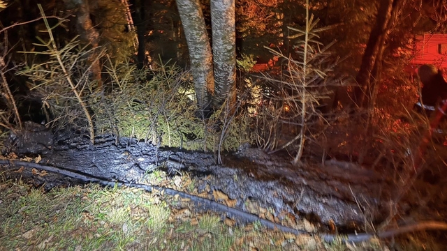 Artvin'de zirai alanda yangın kısa sürede söndürüldü