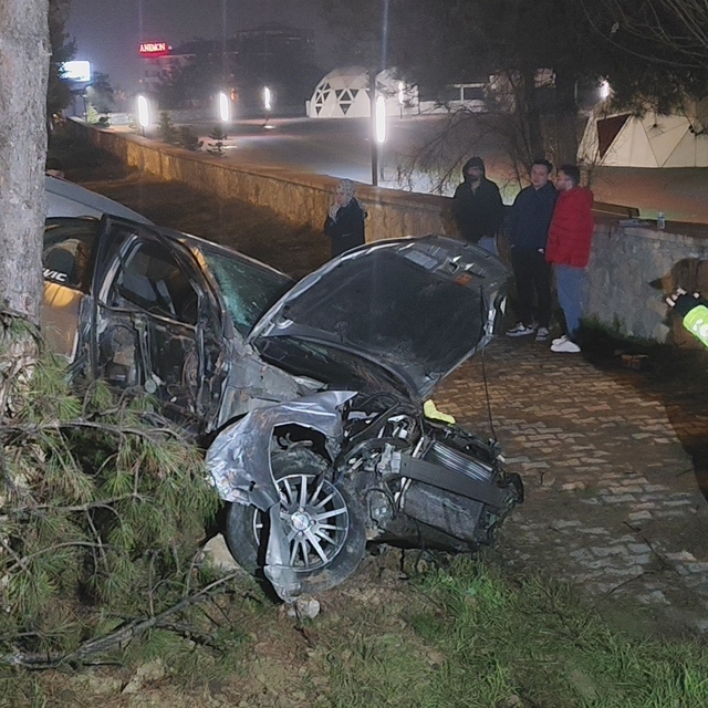 Kontrolden çıkan otomobil, direk ve ağaçlara çarptı: 1 yaralı