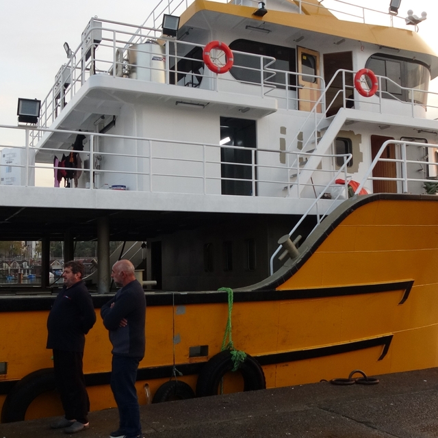 Karadeniz'den bu sezon adeta hamsi fışkırıyor