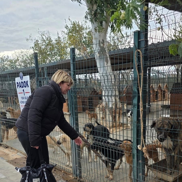 Didim Belediyesi'nden hayvan haklarına güçlü destek