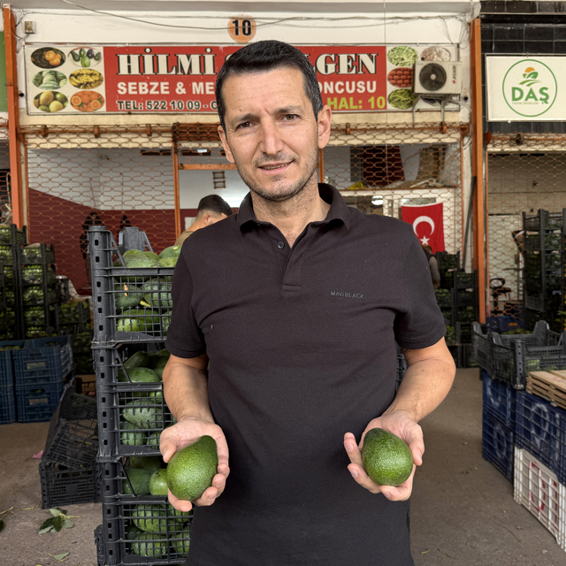 Alanya avokadosunda rekolte beklentisi 150 milyon adet