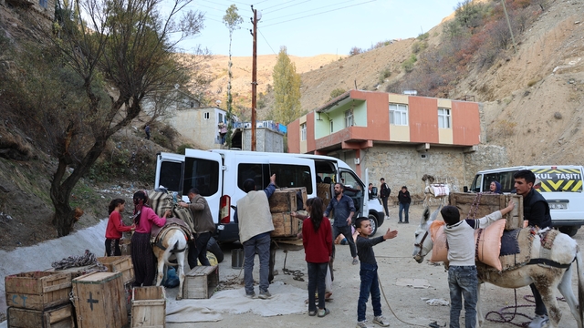 Diyarbakır'ın kırsal mahallesinde yükler eşeklerle evlere götürülüyor
150 hanesi olan mahalle, meydanda indirilen eşyalarını 150 eşekle taşıyor