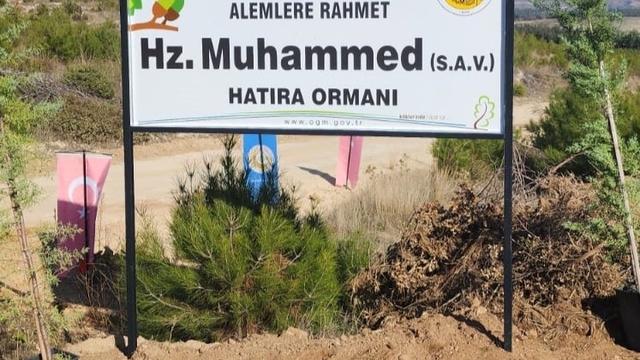 Buldan Müftülüğü tarafından hatıra ormanı oluşturuldu