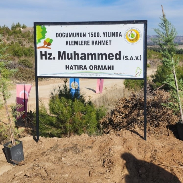 Buldan Müftülüğü tarafından hatıra ormanı oluşturuldu