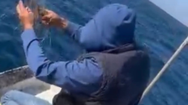 Misinaya dolanan caretta carettayı amatör balıkçı kurtardı