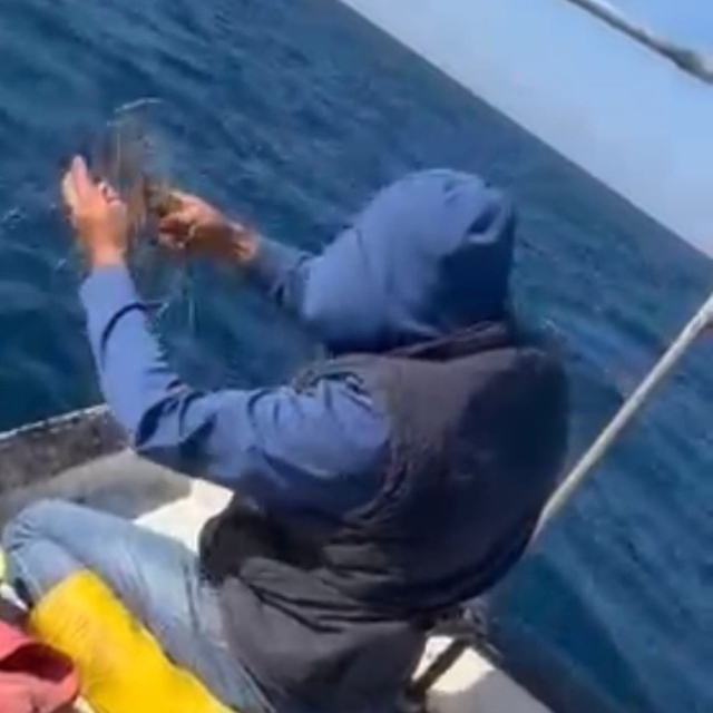 Misinaya dolanan caretta carettayı amatör balıkçı kurtardı