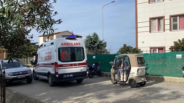 Sinop'ta ağaç budarken düşen vatandaş yaralandı