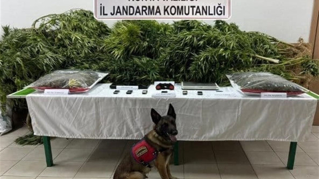 Çiftlikte uyuşturucu bulunmasında sahibi avukat beraat etti, kiracı ceza aldı