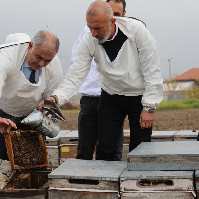 Elazığ arı kovanları incelendi