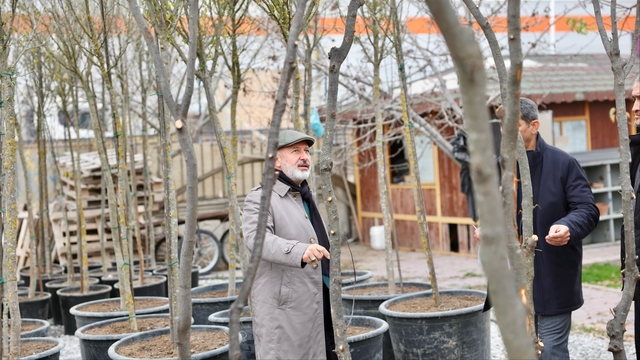 Başkan Çolakbayrakdar, fidanlığa yeni gelen fidan ve ağaçları inceledi