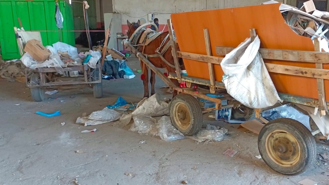 Manisa'da at arabası operasyonu: İki at arabası trafikten men edildi