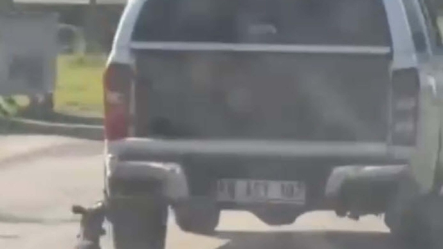 Milas'ta kamyonete bağlanarak sürüklenen köpek öldü; 2 gözaltı