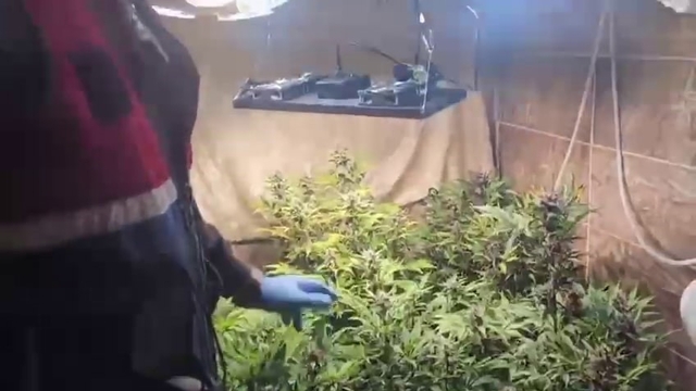 Evini uyuşturucu imalathanesine çevirmiş
Jandarmadan uyuşturucu operasyonu; 1 tutuklama