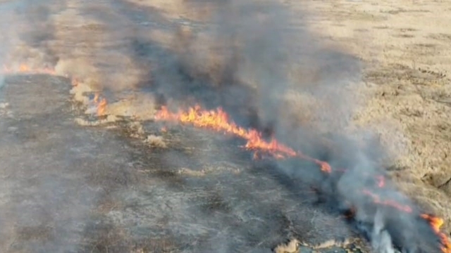 Van'da sazlık yangını