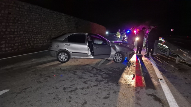 Yola çıkan yaban hayvanı kazaya neden oldu: 4 yaralı