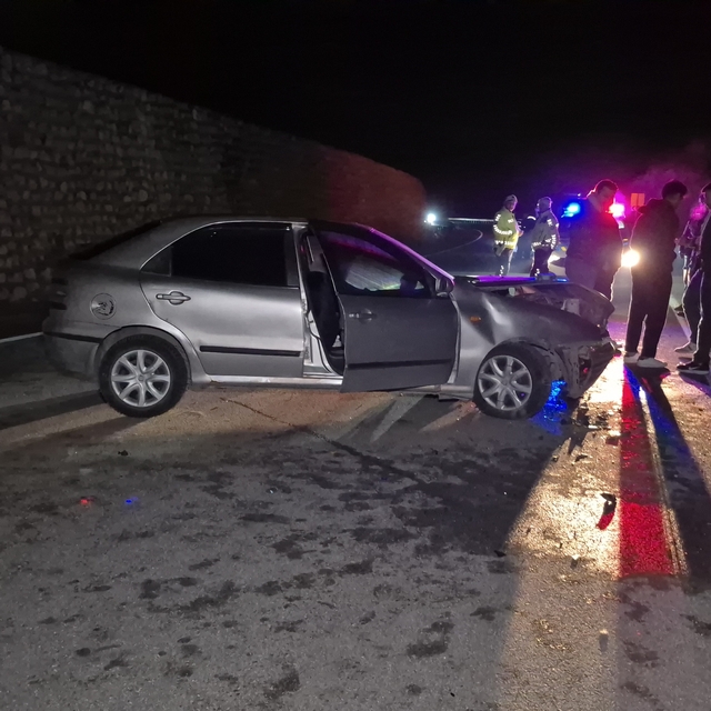 Yola çıkan yaban hayvanı kazaya neden oldu: 4 yaralı