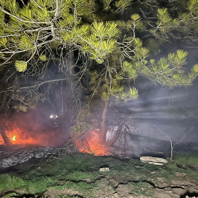 Bolu'da ormanlık alanda yangın çıktı