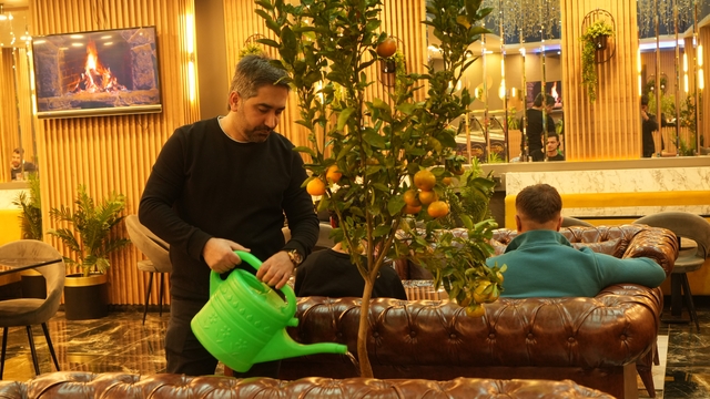 Kafede mandalina yetiştiriyor, müşterilerle paylaşıyor
Kafe işletmecisi mandalina fideleriyle dikkat çekiyor