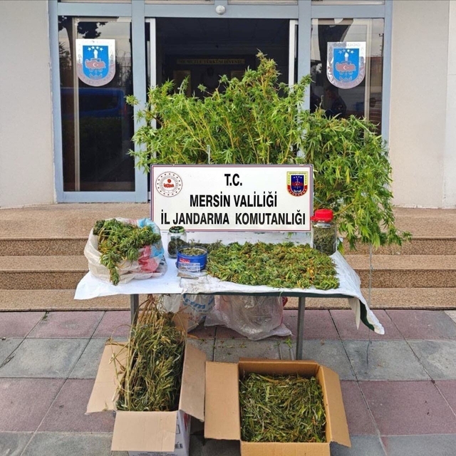 Mersin'de kenevir ekip uyuşturucu üreten şüpheli tutuklandı