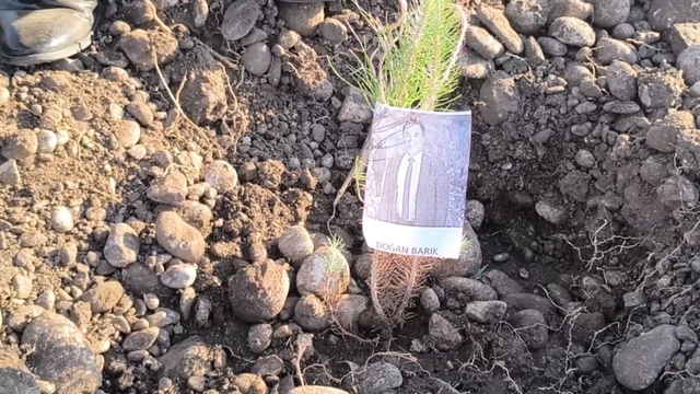 Öğretmenler, şehit ve depremde kaybedilen meslektaşları için fidan dikti