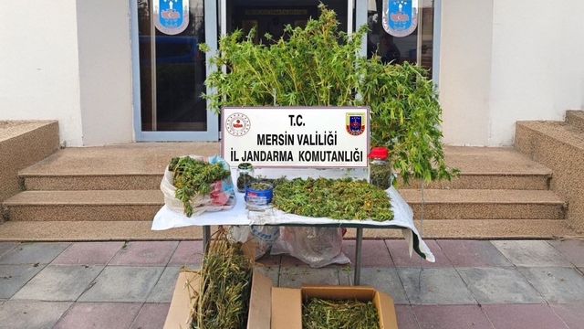 Mersin'de kenevir ekip uyuşturucu üreten şüpheli tutuklandı