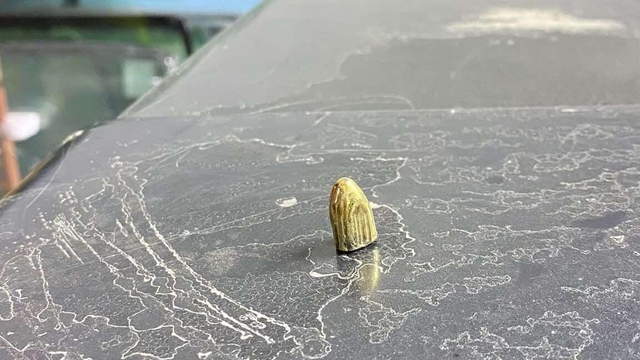 Artvin'de maganda kurşunu park halindeki araca ve iş yerine isabet etti