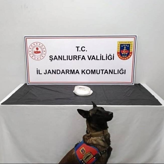 Şanlıurfa'da uyuşturucu operasyonu: 2 gözaltı