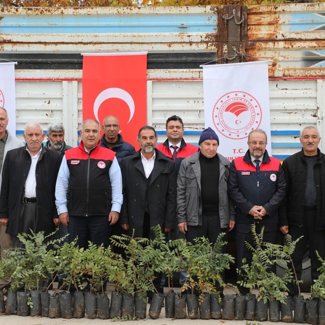 Elazığ'da sumak üretimi artıyor
