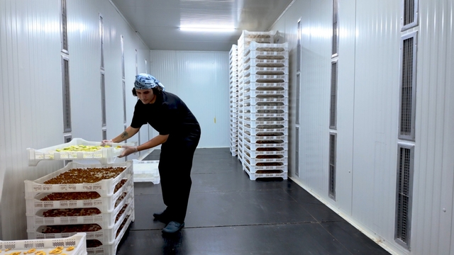 TOGÜ Çiftlik Tarım Ürünleri Kurutma Tesisi öğrencilerin yeni gözdesi oldu