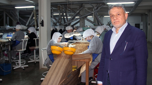 Fındık fiyatları, ihracat, döviz kuru ve hava şartlarına bağlı