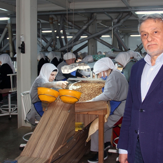 Fındık fiyatları, ihracat, döviz kuru ve hava şartlarına bağlı