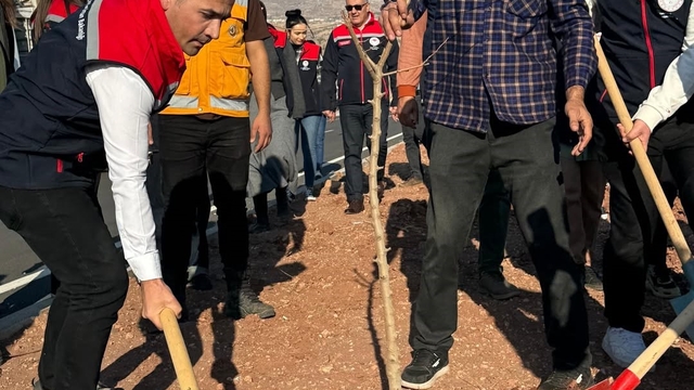 Şırnak-Cizre karayolu refüjünde 365 fidanlık ağaç dikimi yapıldı